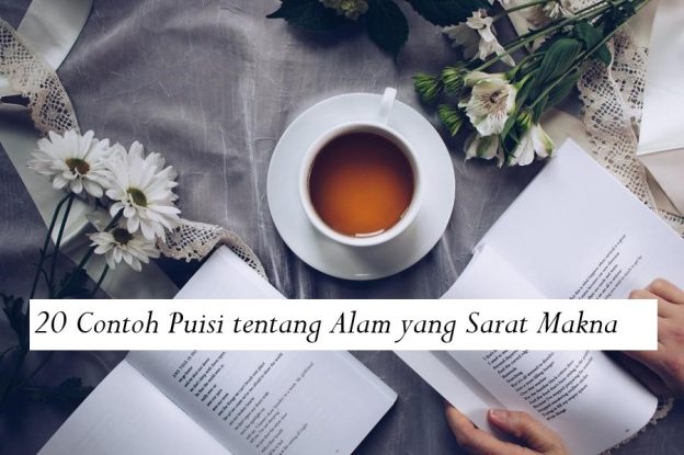 Contoh Puisi Tentang Alam Yang Sarat Makna Puisi Mendalam